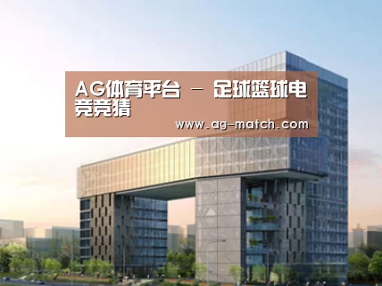 案例展示四(图1)
