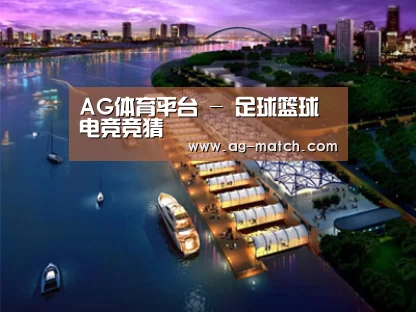 案例展示八(图1) 案例展示八(图1)