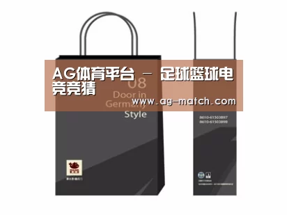 项目名称十四