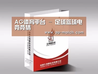 项目名称十三