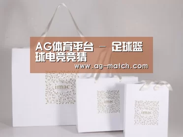 项目名称十一