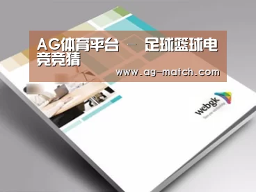 项目名称九