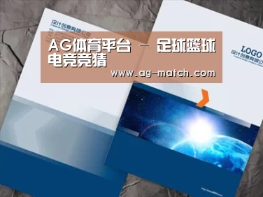 项目名称十