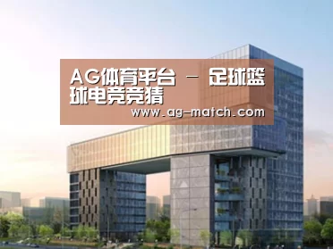 案例展示四