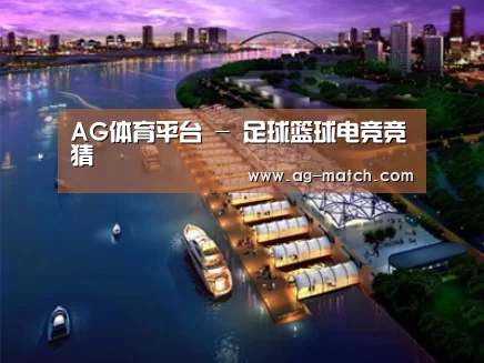 案例展示八