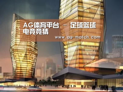 案例展示三