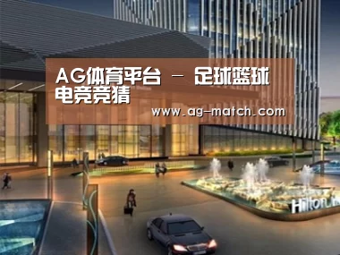 案例展示二