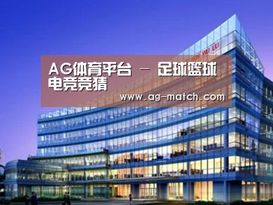 案例展示五