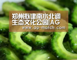 AG足球