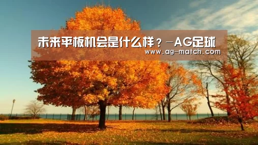 未来平板机会是什么样?-AG足球(图1) AG体育