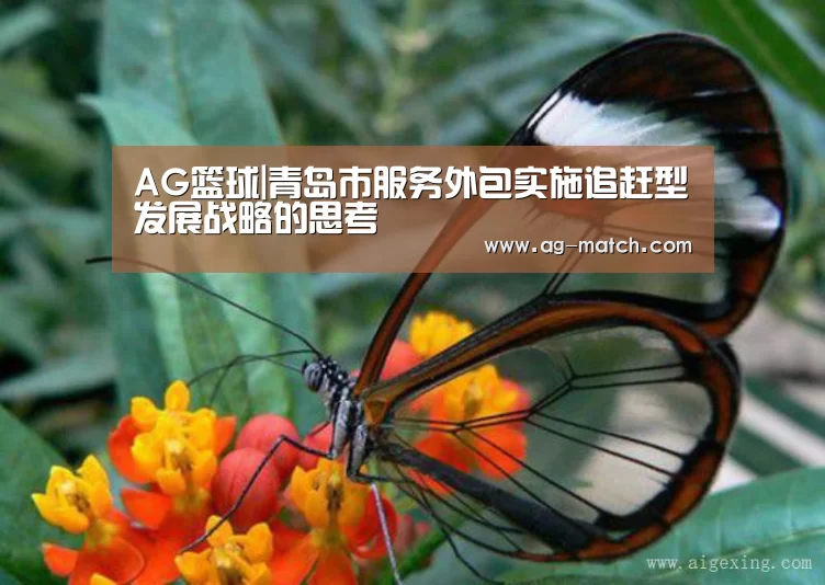 AG篮球|青岛市服务外包实施追赶型发展战略的思考(图2) AG篮球