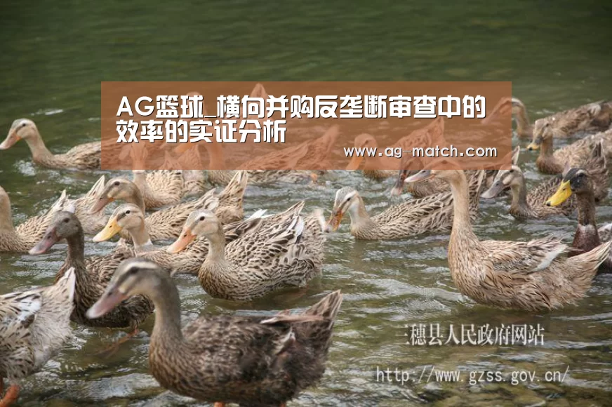AG篮球_横向并购反垄断审查中的效率的实证分析(图1) AG足球