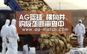 AG篮球_横向并购反垄断审查中的效率的实证分析(图3) AG体育
